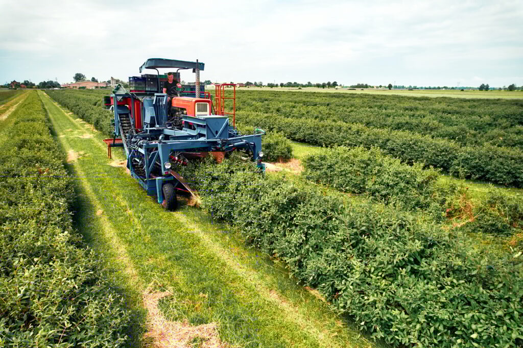 Modern machinery harvesting crops on vast farmland, demonstrating efficient farming